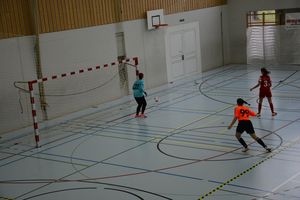 dsc-1311.jpg