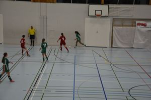 dsc-1480.jpg