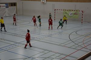 dsc-1488.jpg