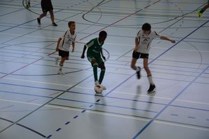 dsc-1610.jpg