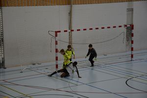 dsc-1655.jpg